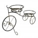 Цветник Велосипед дуэт 2