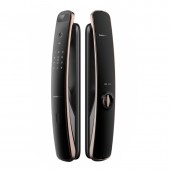 Биометрический электронный замок с распознаванием лица Kaadas K13F (gold)