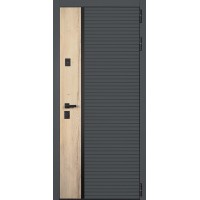 Стальная дверь 