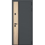 Стальная дверь 