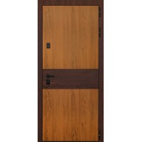 Стальная дверь 