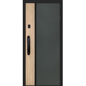 Стальная дверь 