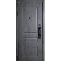 Стальная дверь 