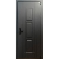 Стальная дверь 