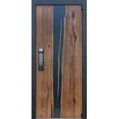 Стальная дверь 